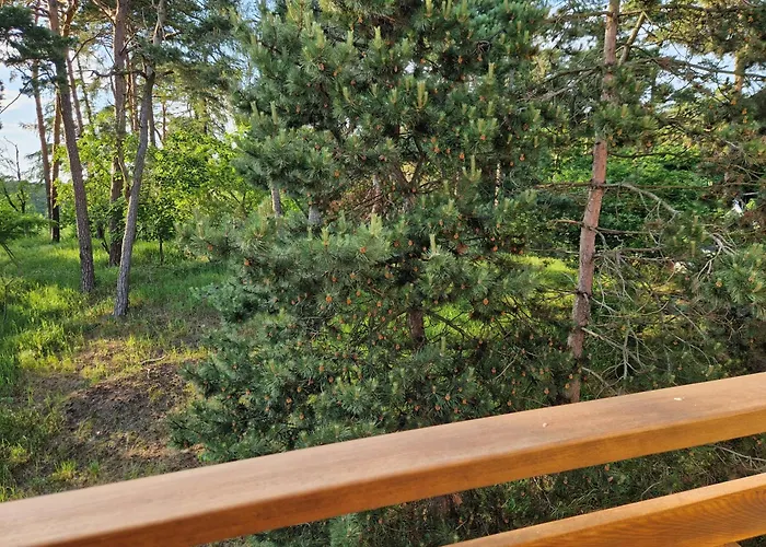Holiapart Willa Stenga - Przy Lesie, Taras, Plac Zabaw, Grill