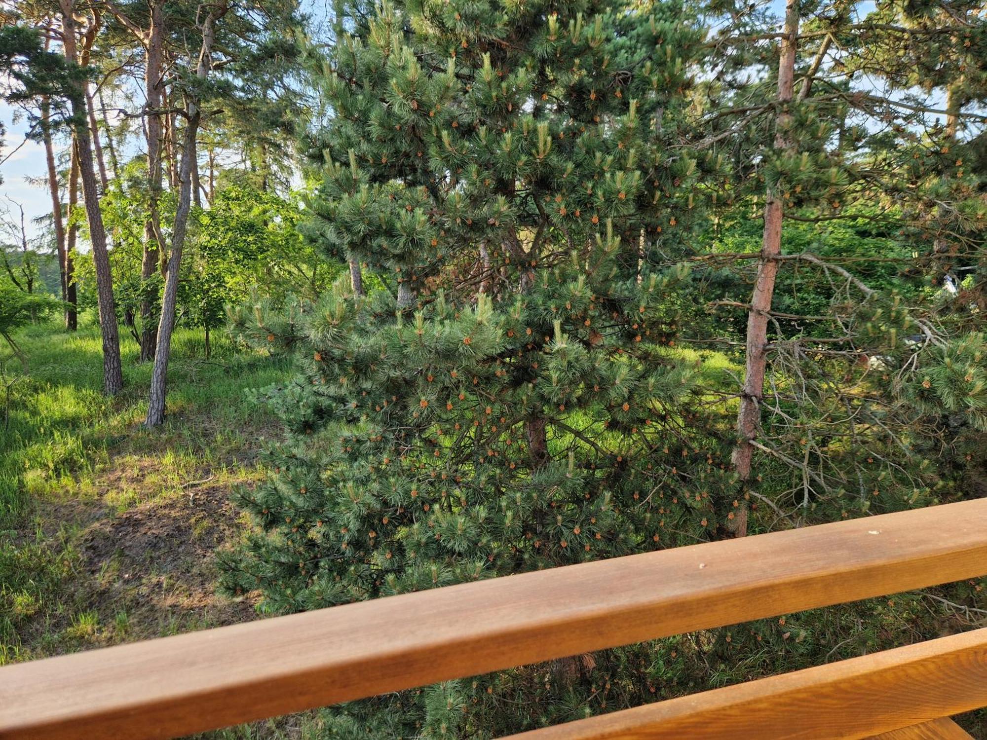 Holiapart Stenga - Przy Lesie, Taras, Plac Zabaw, Grill Apartment