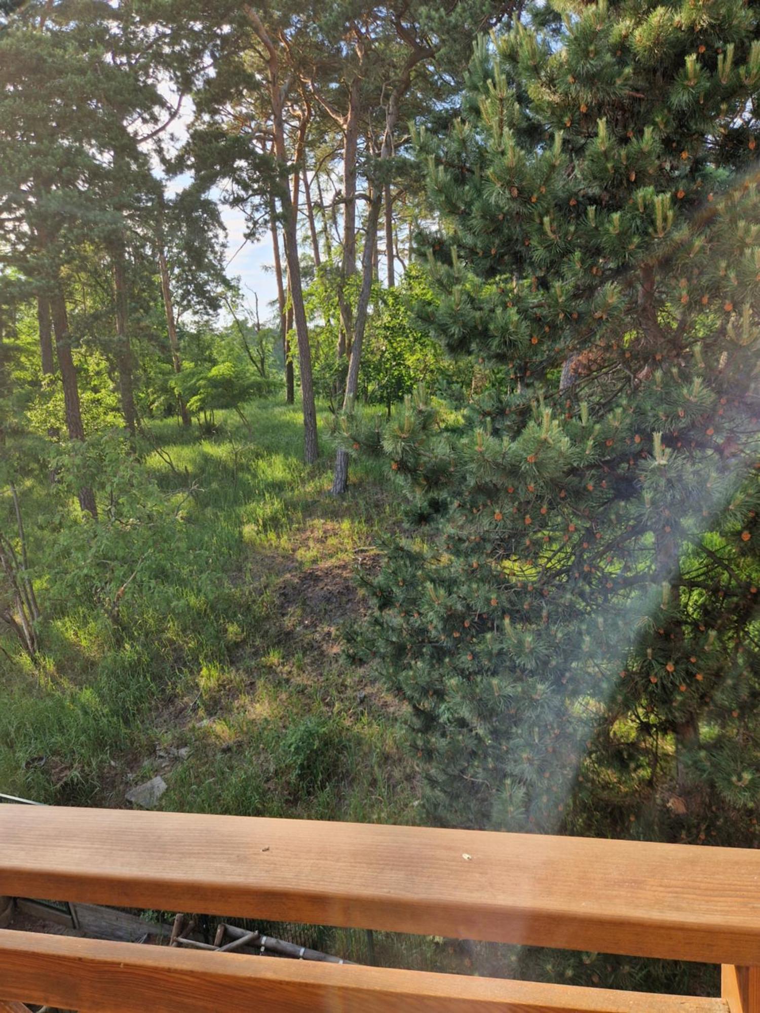 Apartment Holiapart Stenga - Przy Lesie, Taras, Plac Zabaw, Grill *